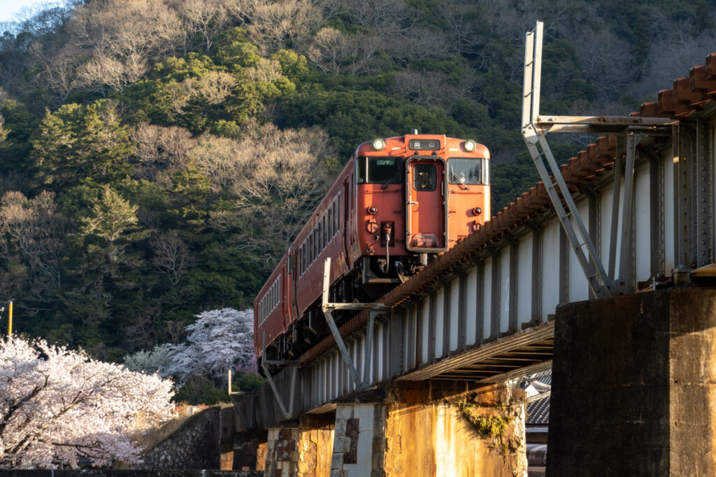 観波橋河川公園