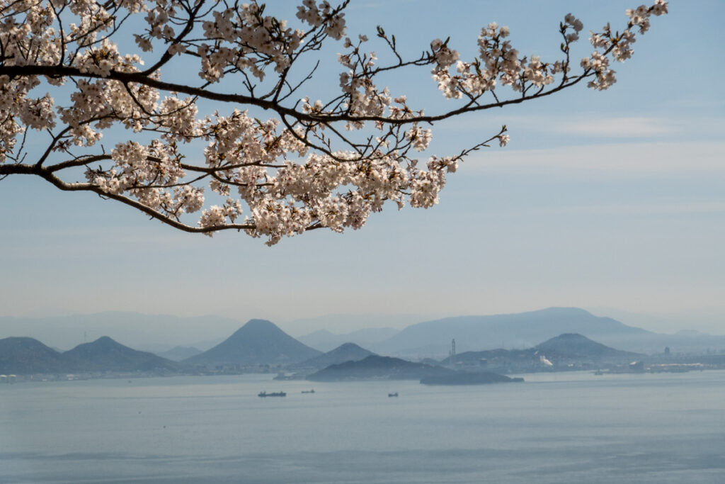 王子が岳